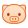 猪头 猪头